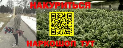мдпв Дмитров