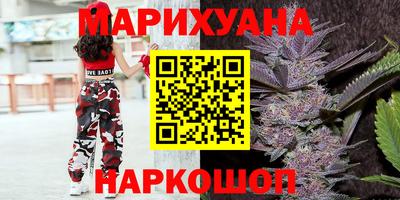 мдпв Дмитров
