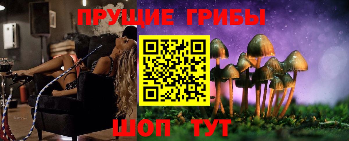 Галлюциногенные грибы Psilocybine cubensis Серпухов